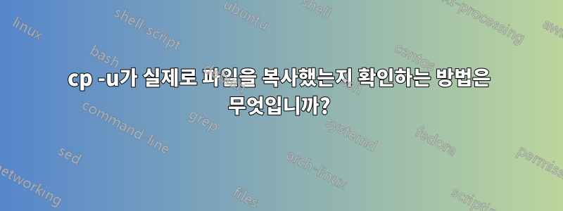 cp -u가 실제로 파일을 복사했는지 확인하는 방법은 무엇입니까?