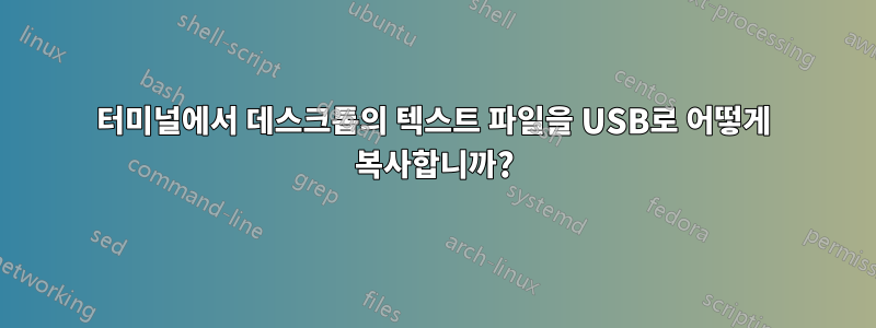 터미널에서 데스크톱의 텍스트 파일을 USB로 어떻게 복사합니까?