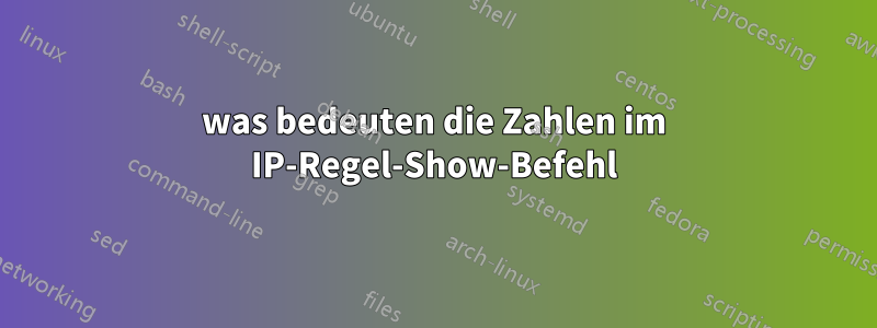 was bedeuten die Zahlen im IP-Regel-Show-Befehl