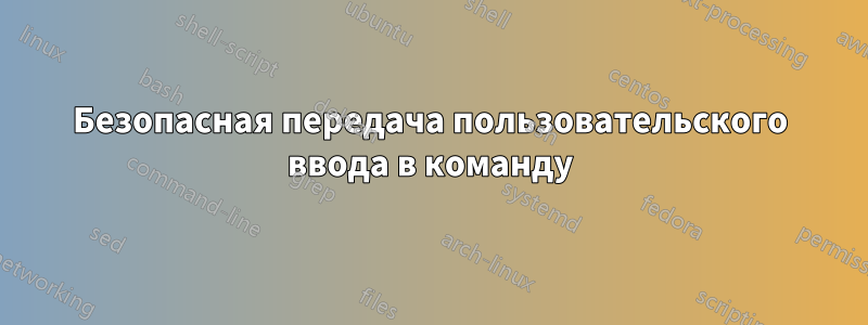 Безопасная передача пользовательского ввода в команду