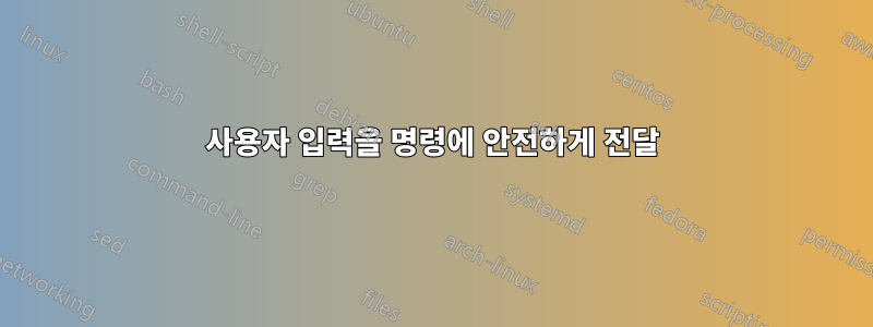 사용자 입력을 명령에 안전하게 전달