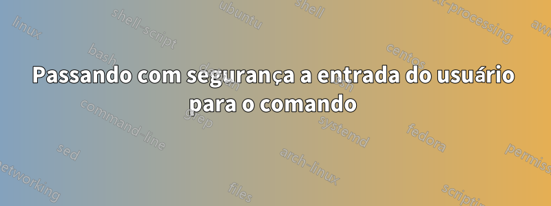 Passando com segurança a entrada do usuário para o comando