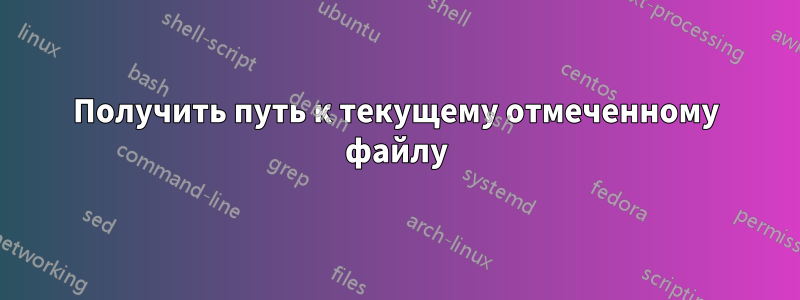 Получить путь к текущему отмеченному файлу