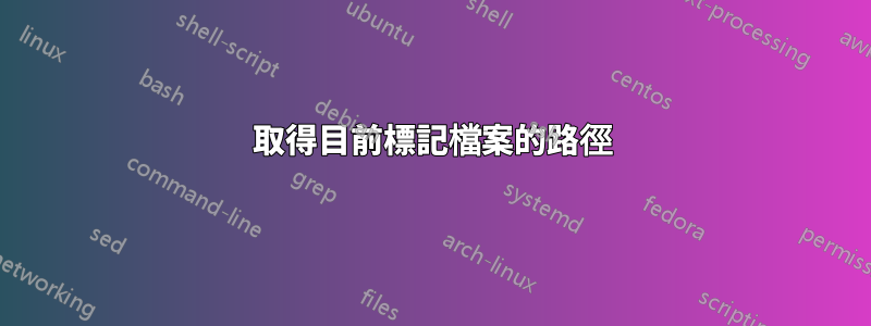 取得目前標記檔案的路徑