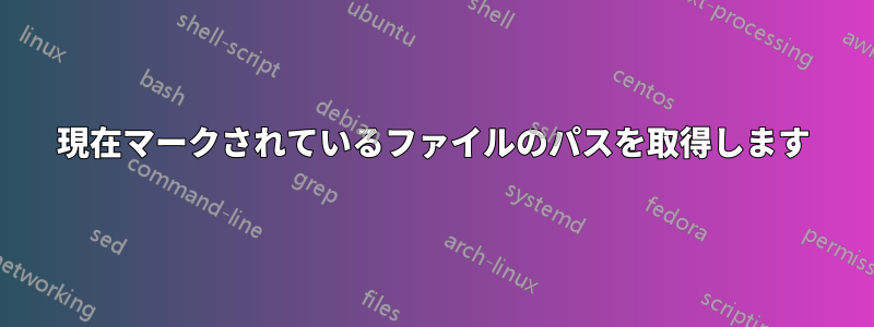 現在マークされているファイルのパスを取得します