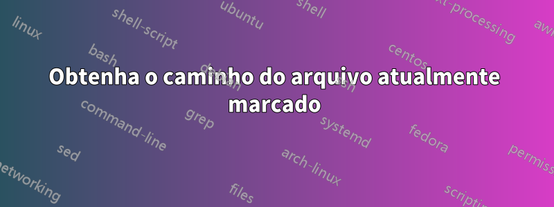 Obtenha o caminho do arquivo atualmente marcado