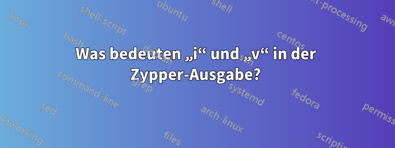 Was bedeuten „i“ und „v“ in der Zypper-Ausgabe?