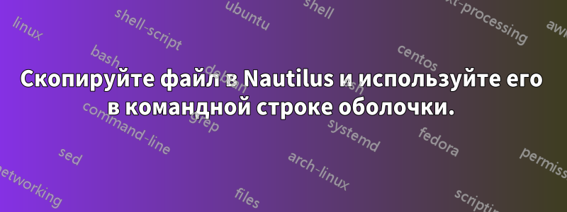 Скопируйте файл в Nautilus и используйте его в командной строке оболочки.