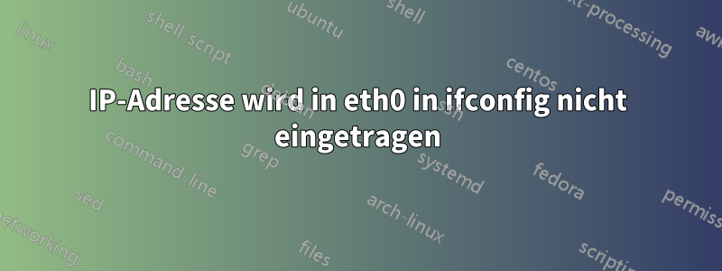 IP-Adresse wird in eth0 in ifconfig nicht eingetragen