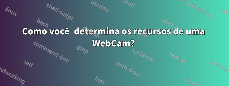 Como você determina os recursos de uma WebCam?