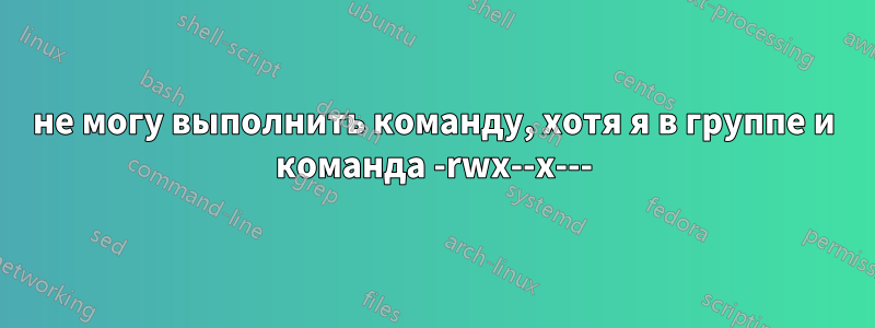 не могу выполнить команду, хотя я в группе и команда -rwx--x---