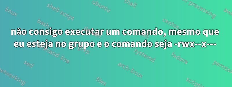 não consigo executar um comando, mesmo que eu esteja no grupo e o comando seja -rwx--x---