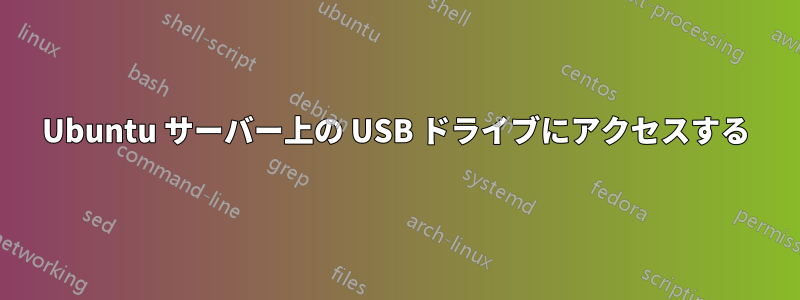 Ubuntu サーバー上の USB ドライブにアクセスする