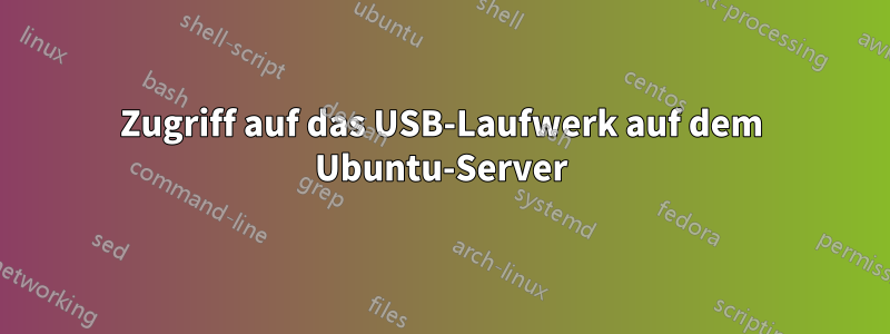 Zugriff auf das USB-Laufwerk auf dem Ubuntu-Server