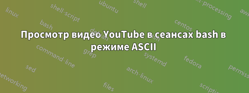 Просмотр видео YouTube в сеансах bash в режиме ASCII