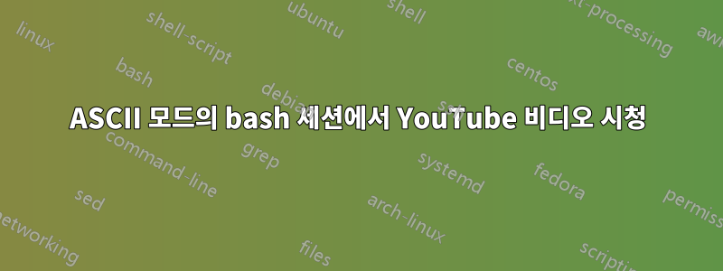 ASCII 모드의 bash 세션에서 YouTube 비디오 시청