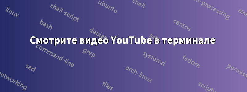 Смотрите видео YouTube в терминале