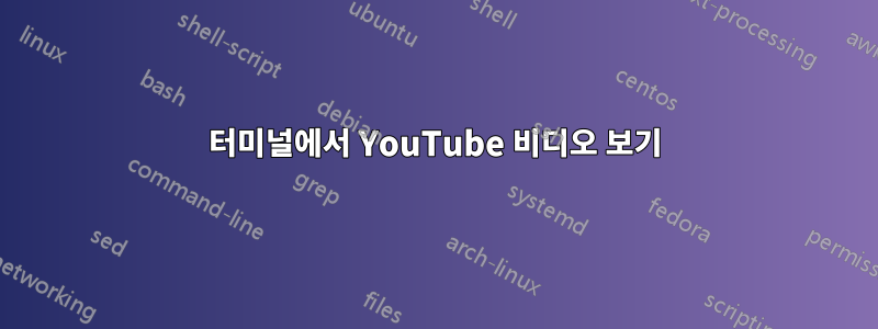 터미널에서 YouTube 비디오 보기