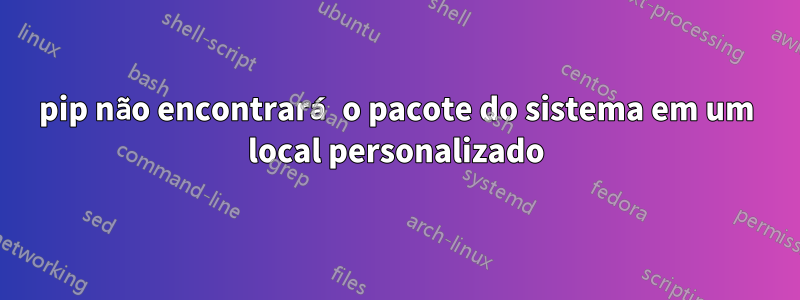 pip não encontrará o pacote do sistema em um local personalizado