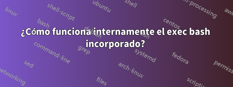 ¿Cómo funciona internamente el exec bash incorporado?