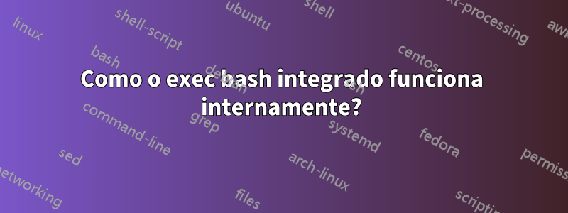 Como o exec bash integrado funciona internamente?