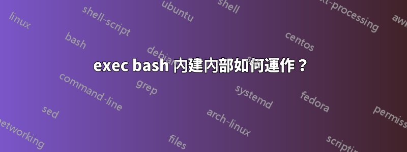 exec bash 內建內部如何運作？