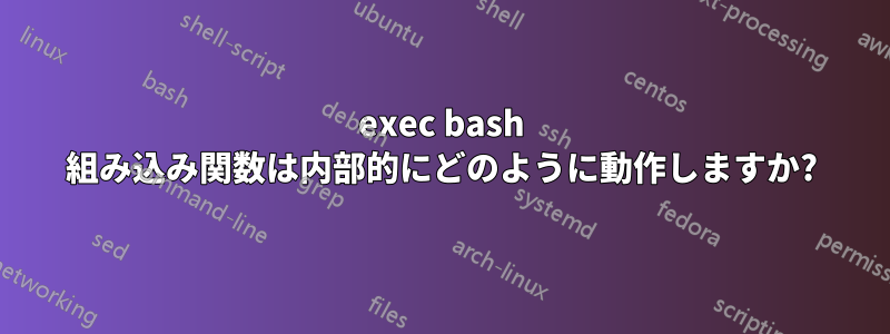 exec bash 組み込み関数は内部的にどのように動作しますか?