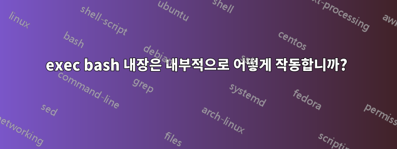 exec bash 내장은 내부적으로 어떻게 작동합니까?