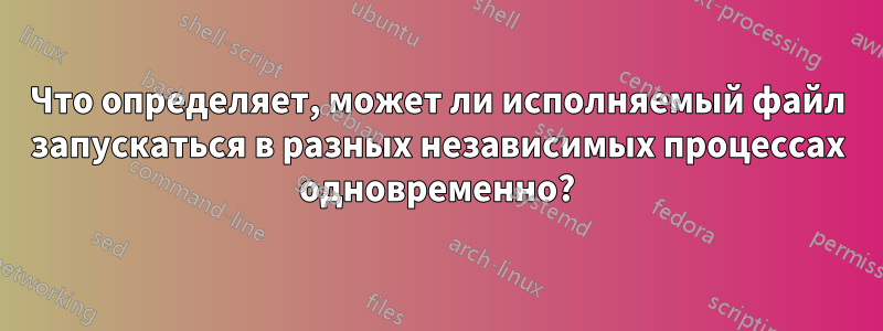 Что определяет, может ли исполняемый файл запускаться в разных независимых процессах одновременно?