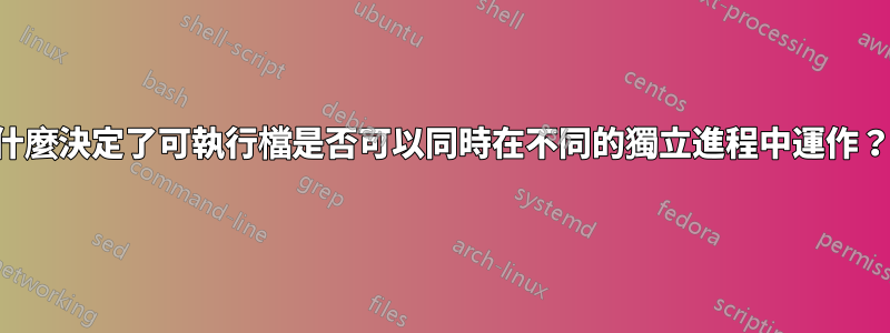 什麼決定了可執行檔是否可以同時在不同的獨立進程中運作？