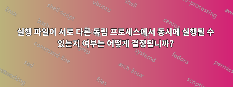 실행 파일이 서로 다른 독립 프로세스에서 동시에 실행될 수 있는지 여부는 어떻게 결정됩니까?