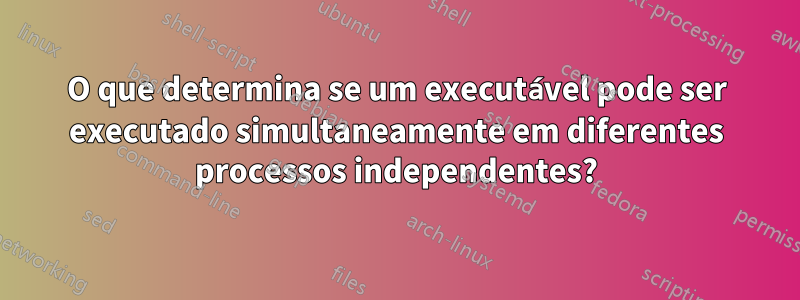 O que determina se um executável pode ser executado simultaneamente em diferentes processos independentes?