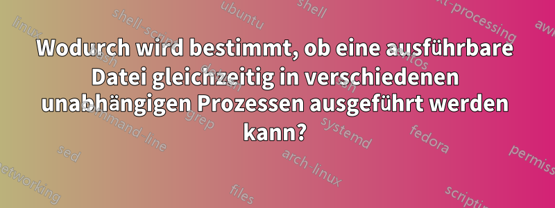 Wodurch wird bestimmt, ob eine ausführbare Datei gleichzeitig in verschiedenen unabhängigen Prozessen ausgeführt werden kann?