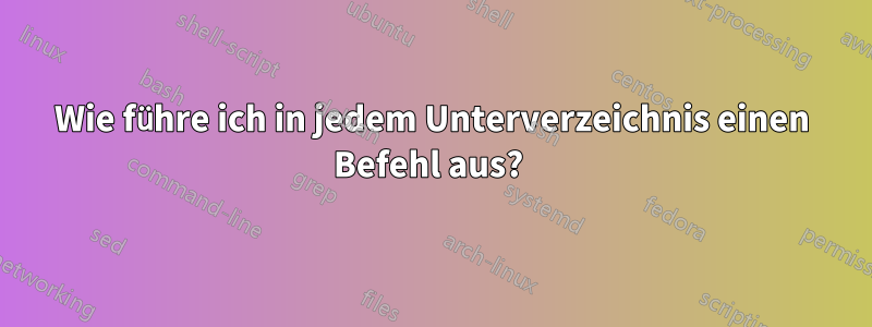 Wie führe ich in jedem Unterverzeichnis einen Befehl aus? 