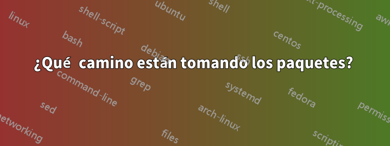 ¿Qué camino están tomando los paquetes?