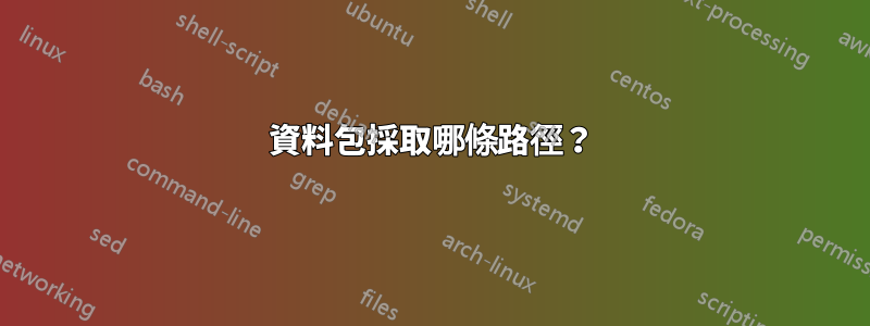 資料包採取哪條路徑？