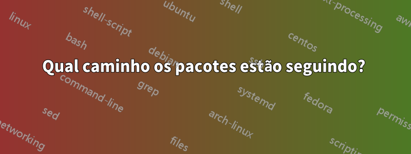 Qual caminho os pacotes estão seguindo?