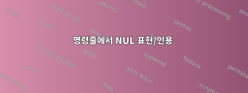 명령줄에서 NUL 표현/인용