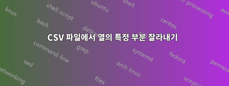 CSV 파일에서 열의 특정 부분 잘라내기 