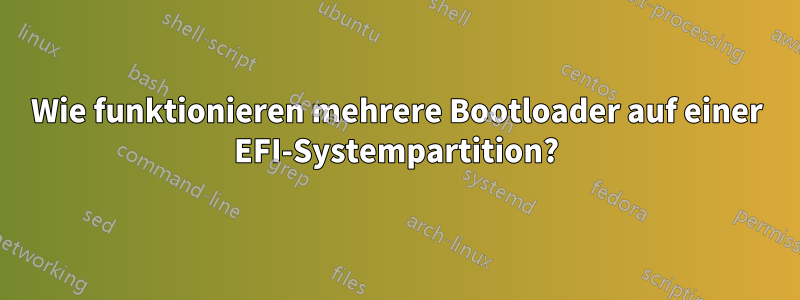 Wie funktionieren mehrere Bootloader auf einer EFI-Systempartition?