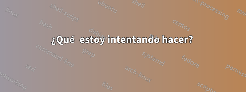 ¿Qué estoy intentando hacer?