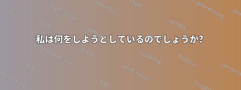 私は何をしようとしているのでしょうか?