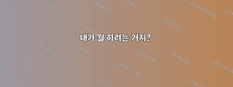 내가 뭘 하려는 거지?