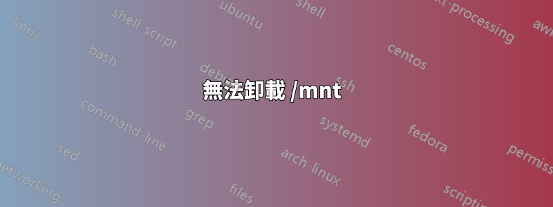 無法卸載 /mnt 