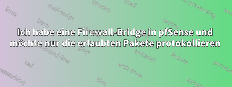 Ich habe eine Firewall-Bridge in pfSense und möchte nur die erlaubten Pakete protokollieren