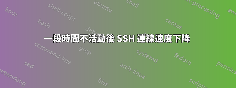 一段時間不活動後 SSH 連線速度下降