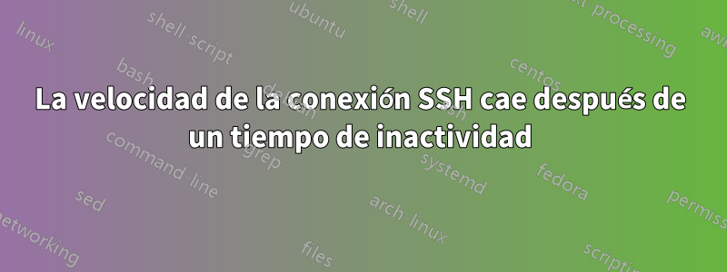 La velocidad de la conexión SSH cae después de un tiempo de inactividad