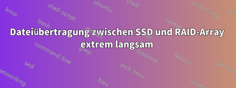 Dateiübertragung zwischen SSD und RAID-Array extrem langsam