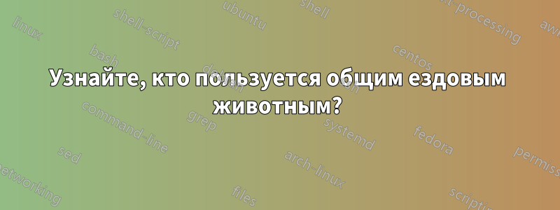 Узнайте, кто пользуется общим ездовым животным?