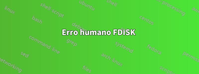 Erro humano FDISK